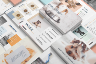 Download Clean PowerPoint Presentation - Presentation Collection