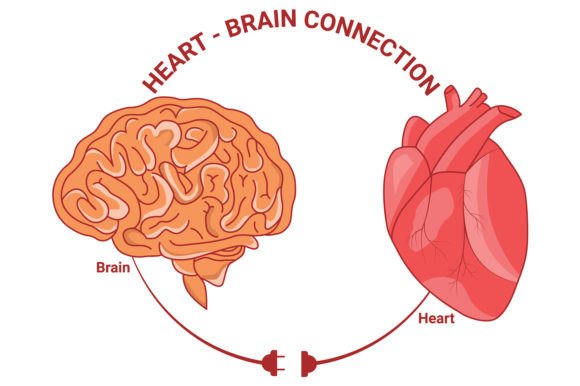 Download Heart and Brain Connection Vector Design - Sign Collection